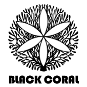 Black Coral Wholesale